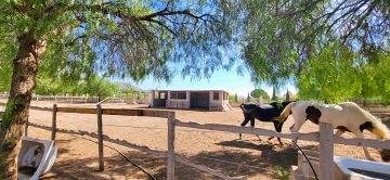 4-Bedroom Country Estate with Guest Apartment, Pool & Equestrian Facilities - La Romana