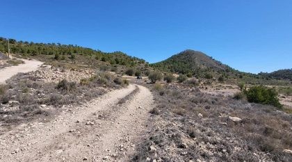 Land in Monovar - Resale - Monovar