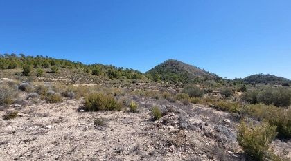 Land in Monovar - Resale - Monovar