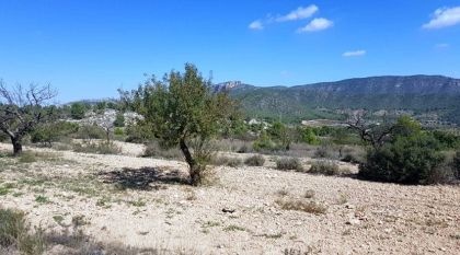 Detached Villa in Monovar - New build - Monovar